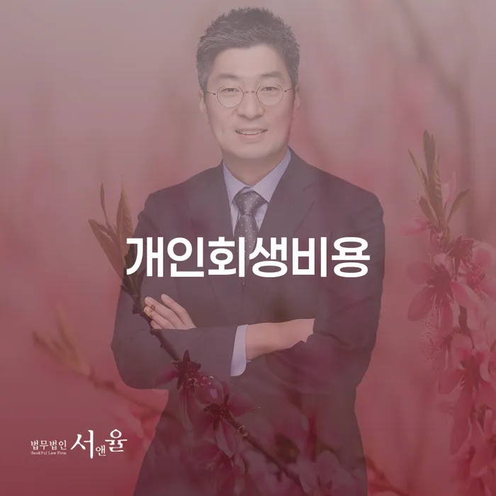 개인회생소득 대출 연체 개인회생 해결하기