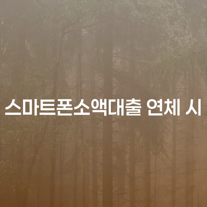 면책확인의소 대출 연체 개인회생 확실한 진행