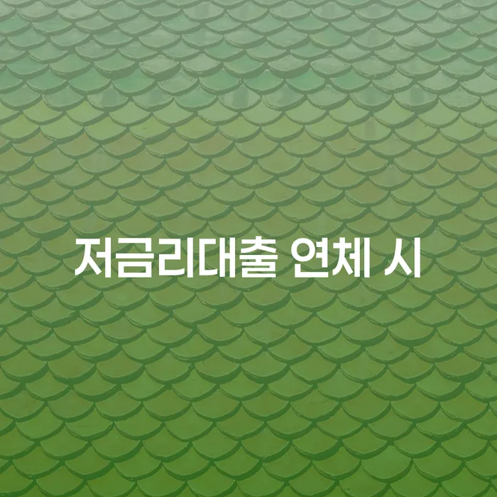 고창군 소액대출 연체 시 추심 대응법 신청절차에