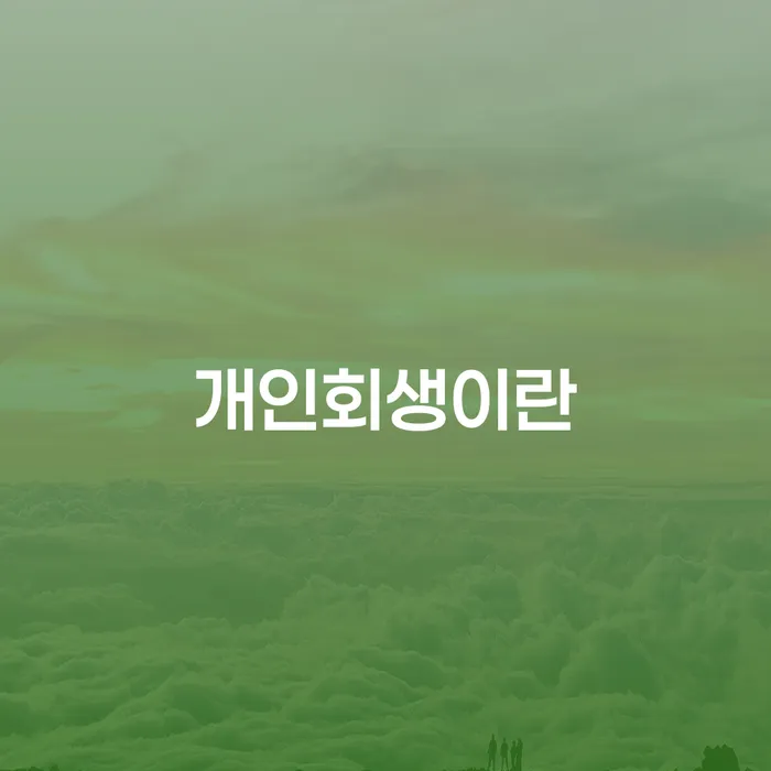 종로구 개인회생수임료대출 안하고 자체 분납이 가능한 개인회생으로 방법 살고있는