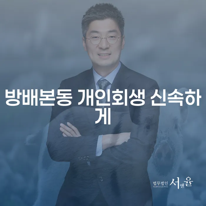 방배본동 개인회생 신속하게