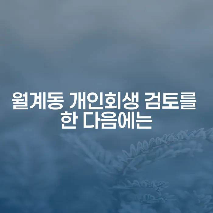 월계동 개인회생 검토를 한 다음에는