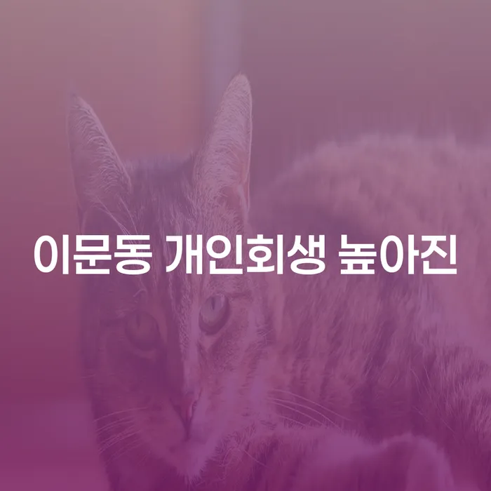 이문동 개인회생 높아진