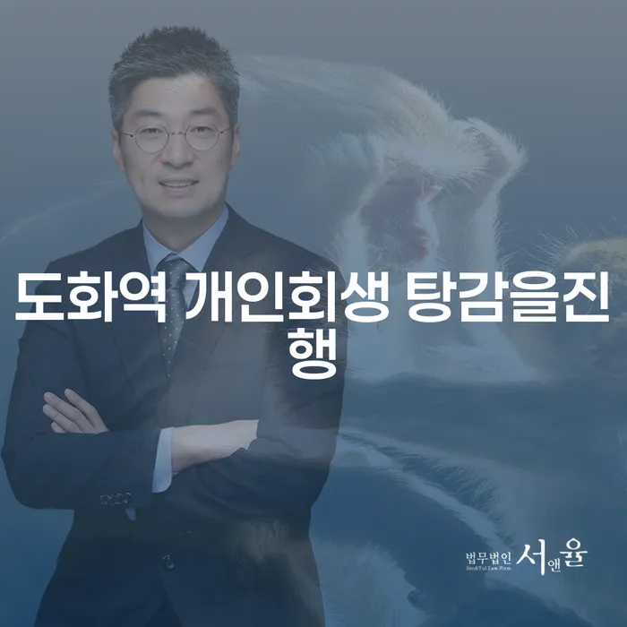 도화역 개인회생 탕감을진행