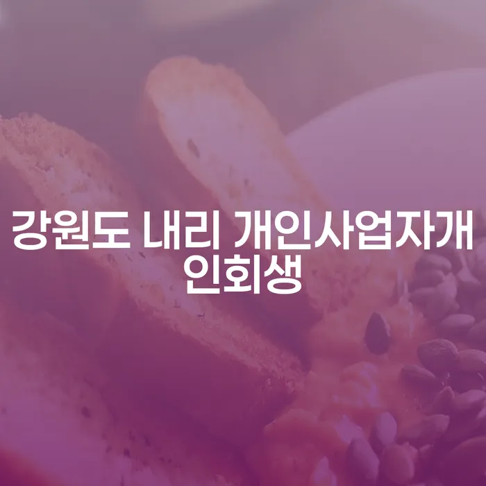 강원도 내리 개인사업자, 투자 실패 후 개인회생 신청은 어떻게?