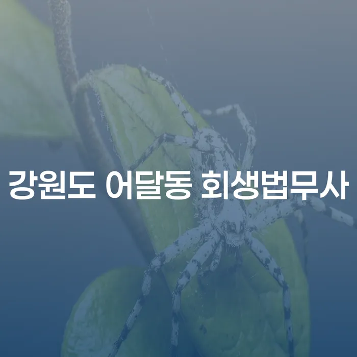강원도 어달동 회생법무사와 함께 채무 문제 해결하는 방법은?